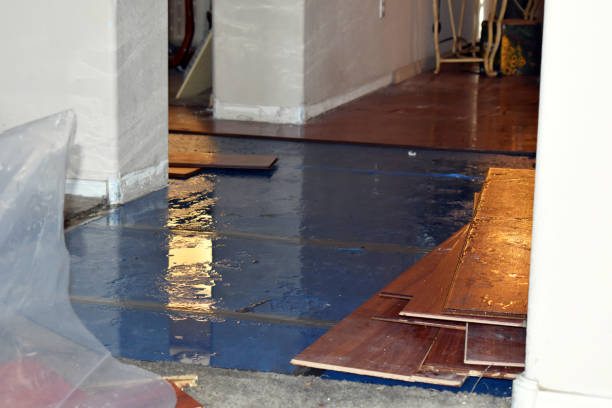 Professional Basement Flood Cleanup technician working in Milltown, WI